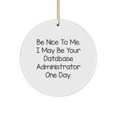 Database Administrator Gifts, Funny Quote Circle Ornament, Gifts from Friends or Family for Christmas - Image 1